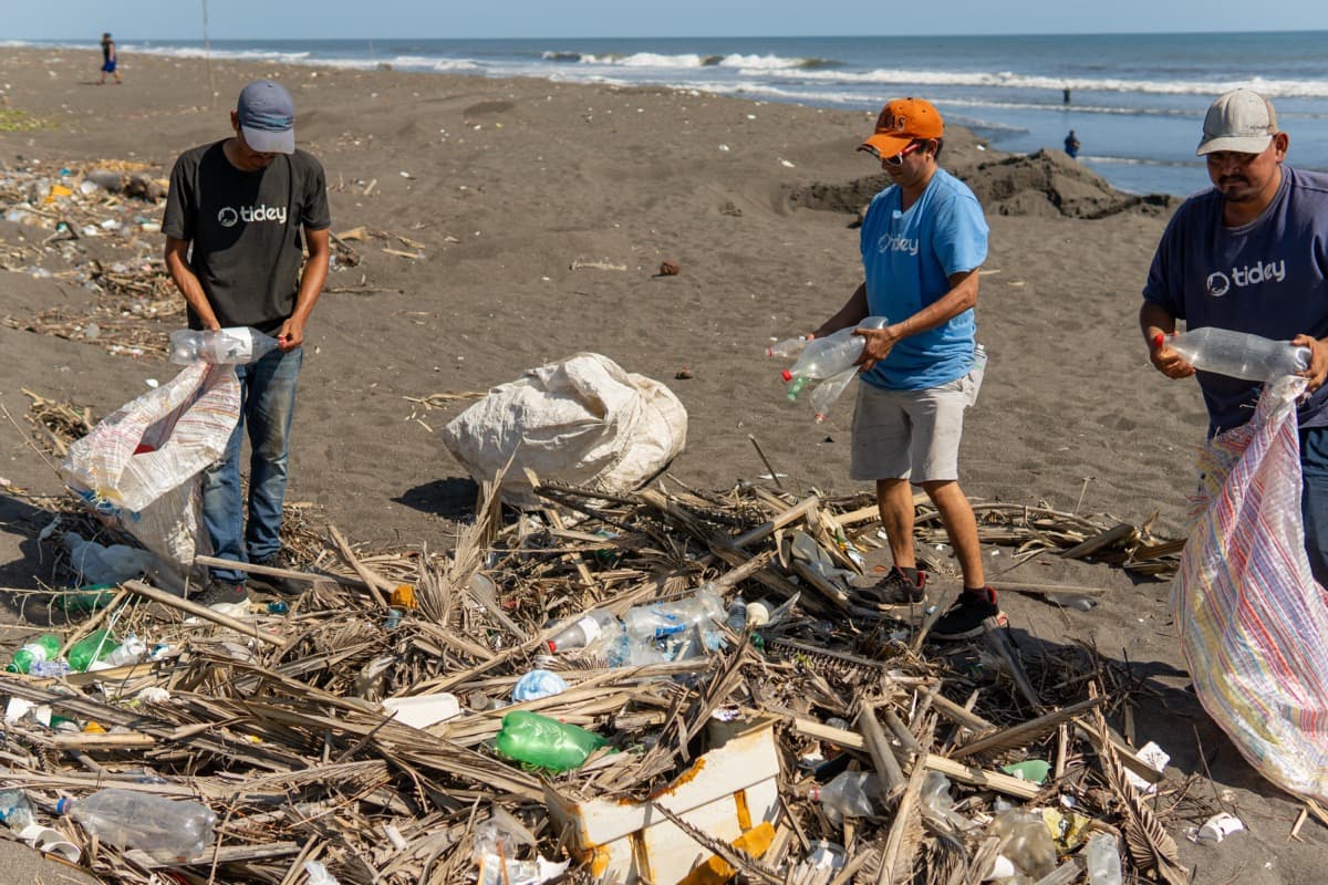 Tidey Ocean cleanup crew collecting plastic bottles on the beach